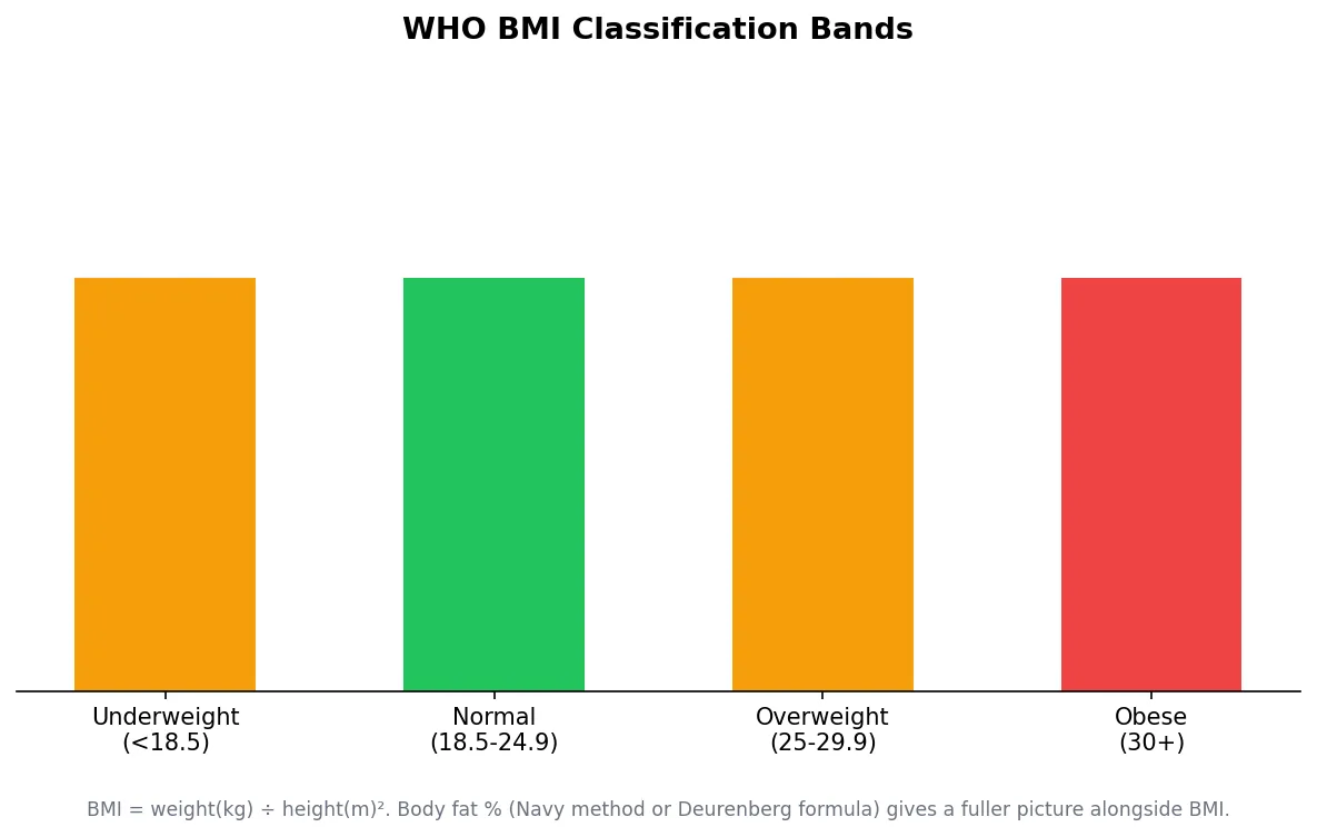 Chart of WHO BMI classification bands: underweight, normal, overweight, obese