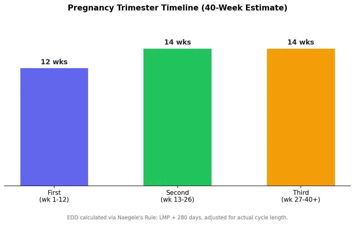 Bar chart of the pregnancy trimester timeline over a 40-week estimate
