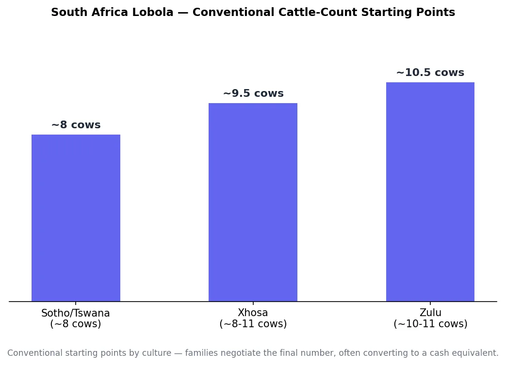 Bar chart of conventional lobola cattle-count starting points by South African culture